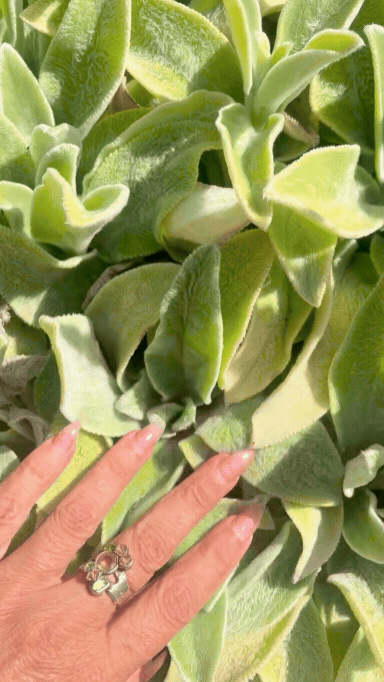August 26: IT'S A HOT PLANTFONDLE SUMMER'S EVE