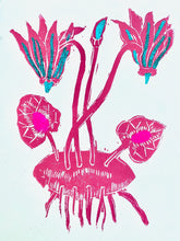 Cyclamen Print/Card