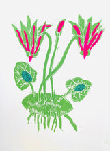 Cyclamen Print/Card