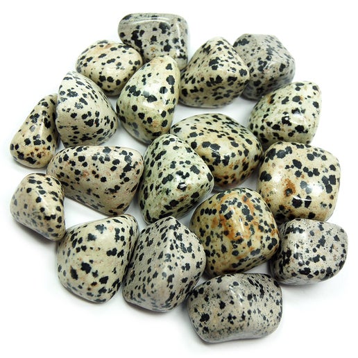 Dalmatian Jasper tumbled