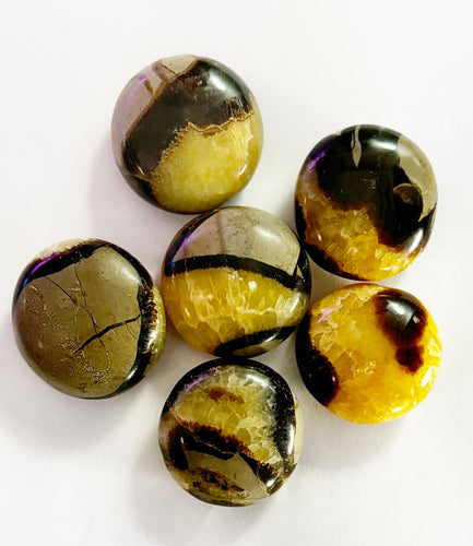 Septarian Palmstone