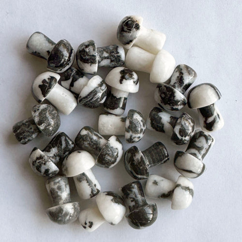 Zebra Jasper mushroom