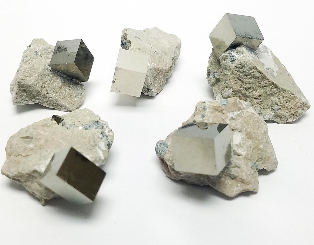 Iron Pyrite in Limestone Matrix