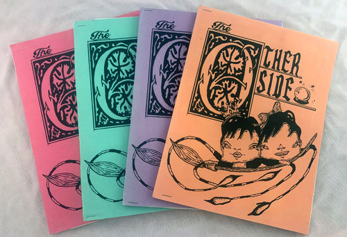 The Other Side Risograph Pop Up Book Zine