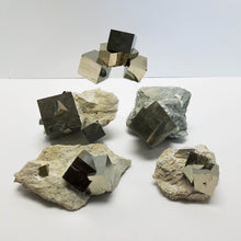 Iron Pyrite in Limestone Matrix