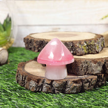 White Onyx Mushroom with Red Top