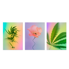 Psychedelic Fleurs Postcard Print Set